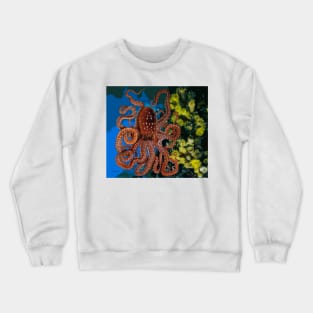 Octopus Crewneck Sweatshirt